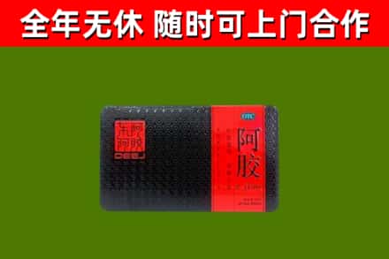 东山回收阿胶